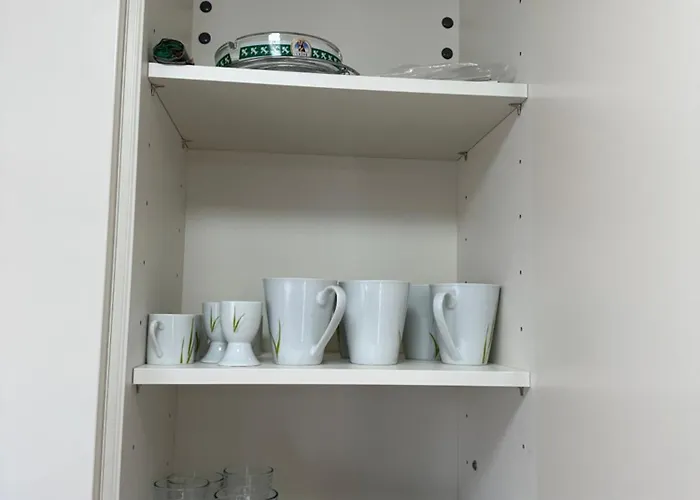 Litus 니바이스