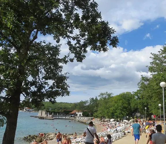 Litus * 니바이스